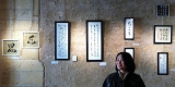 zhun-journet - les photos  画展记录