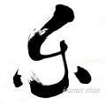 zhun-journet - calligraphie 书法