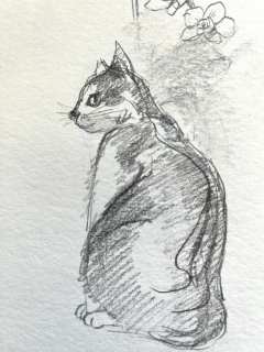 zhun-journet - croquis 速写5