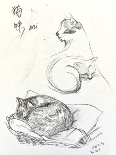 zhun-journet - croquis 速写5